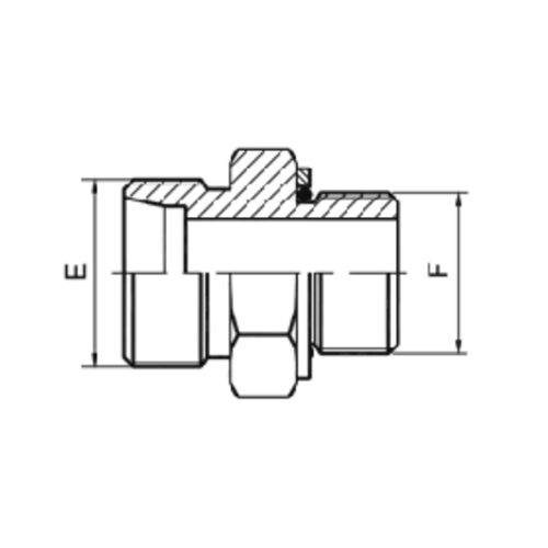 Metric Male 24°cone /Metric O'Ring Seal